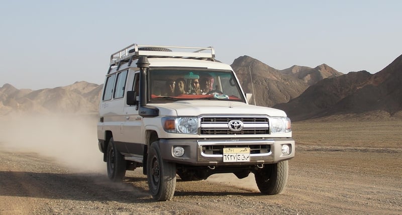 Safari Trips